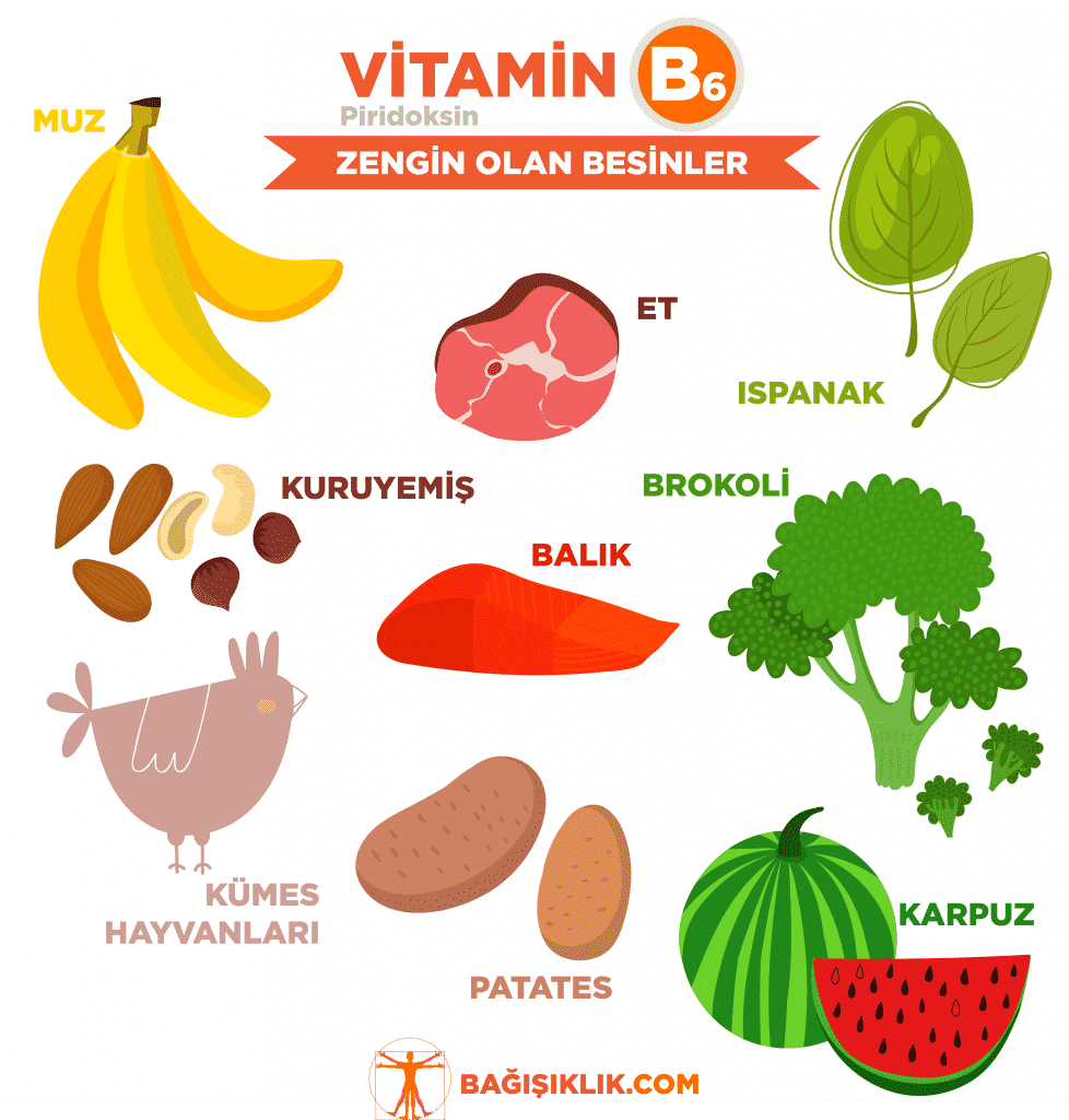 B6 Vitamini (Piridoksin) Neden Gerekli? - Bağışıklık